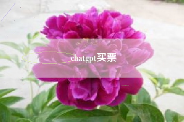 chatgpt买票