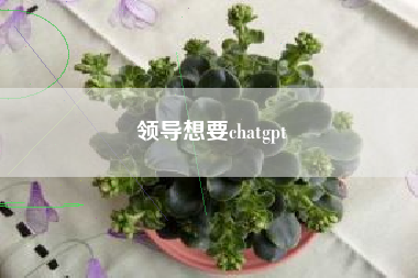 领导想要chatgpt