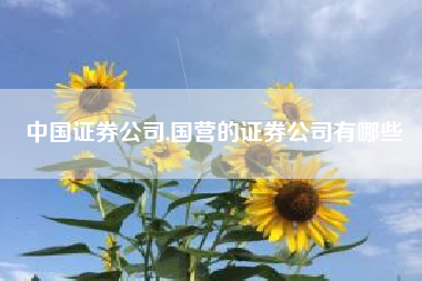 中国证券公司,国营的证券公司有哪些