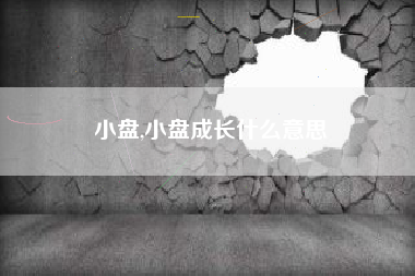 小盘,小盘成长什么意思