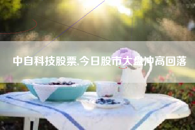 中自科技股票,今日股市大盘冲高回落