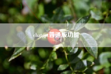 chatgpt普通版功能