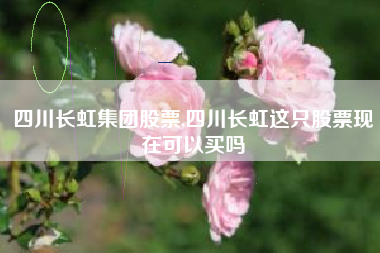 四川长虹集团股票,四川长虹这只股票现在可以买吗