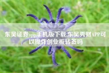 东吴证券app手机版下载,东吴秀财APP可以操作创业板转签吗