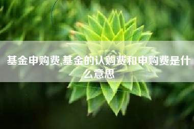 基金申购费,基金的认购费和申购费是什么意思