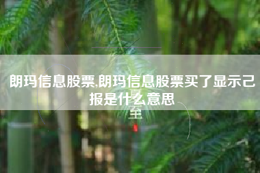 朗玛信息股票,朗玛信息股票买了显示己报是什么意思