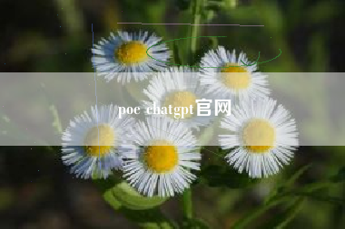 poe chatgpt官网