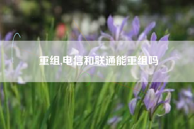 重组,电信和联通能重组吗