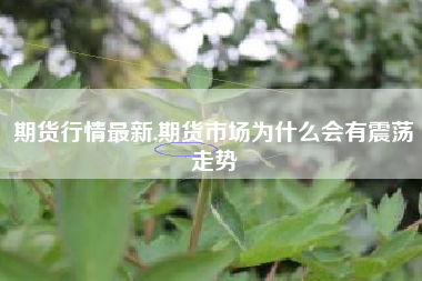 期货行情最新,期货市场为什么会有震荡走势