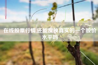在线股票行情,还能反映真实的一个股价水平吗