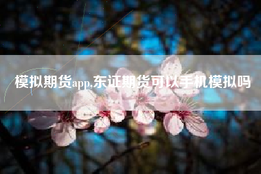 模拟期货app,东证期货可以手机模拟吗