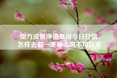 南方成份净值查询今日行情,
怎样去看一支基金可不可以买 南方成份净值查询今日行情,
怎样去看一支基金可不可以买