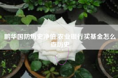 鹏华国防历史净值,农业银行买基金怎么查历史