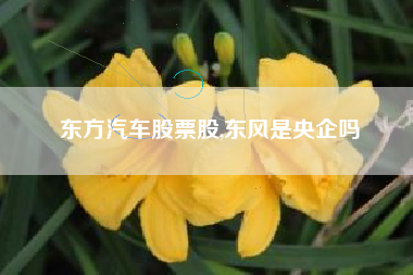 东方汽车股票股,东风是央企吗