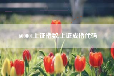 600001上证指数,上证成指代码