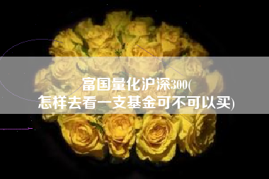 富国量化沪深300(
怎样去看一支基金可不可以买) 富国量化沪深300(
怎样去看一支基金可不可以买)