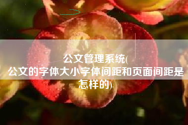 公文管理系统(
公文的字体大小字体间距和页面间距是怎样的) 公文管理系统(
公文的字体大小字体间距和页面间距是怎样的)