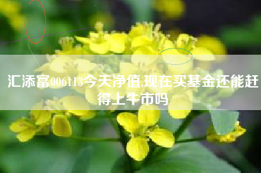 汇添富006113今天净值,现在买基金还能赶得上牛市吗