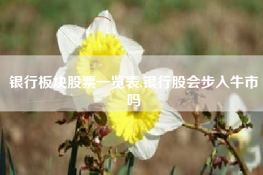 银行板块股票一览表,银行股会步入牛市吗