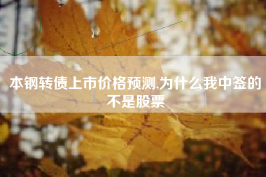 本钢转债上市价格预测,为什么我中签的不是股票