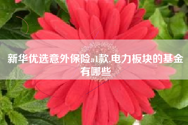新华优选意外保险a1款,电力板块的基金有哪些