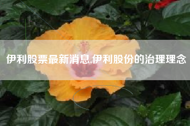 伊利股票最新消息,伊利股份的治理理念