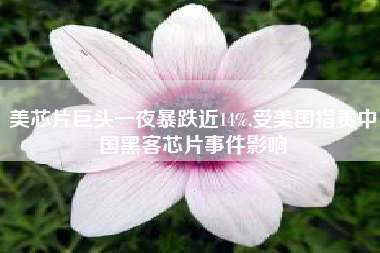 美芯片巨头一夜暴跌近14%,受美国指责中国黑客芯片事件影响