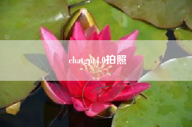 chatgpt4.0拍照