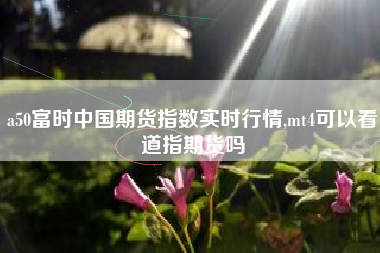 a50富时中国期货指数实时行情,mt4可以看道指期货吗