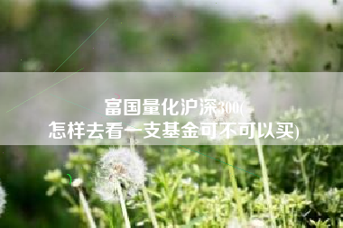 富国量化沪深300(
怎样去看一支基金可不可以买) 富国量化沪深300(
怎样去看一支基金可不可以买)