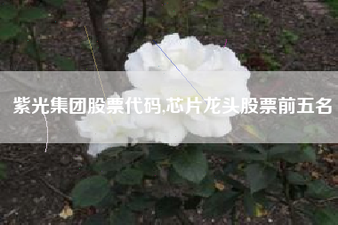 紫光集团股票代码,芯片龙头股票前五名