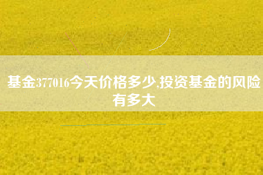 基金377016今天价格多少,投资基金的风险有多大