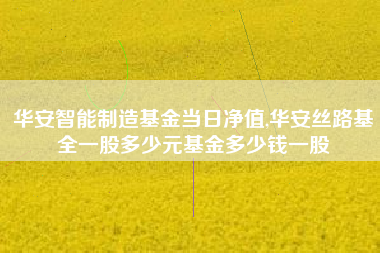 华安智能制造基金当日净值,华安丝路基全一股多少元基金多少钱一股