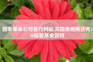 国泰基金公司官方网站,买国泰纳斯达克100指数基金如何