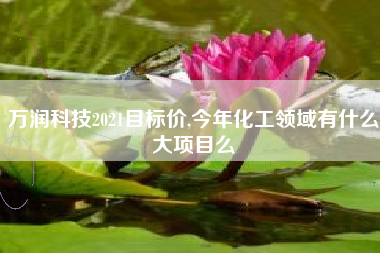 万润科技2021目标价,今年化工领域有什么大项目么