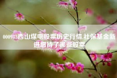 000983西山煤电股票历史行情,社保基金新进增持了哪些股票