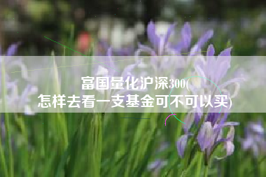 富国量化沪深300(
怎样去看一支基金可不可以买) 富国量化沪深300(
怎样去看一支基金可不可以买)