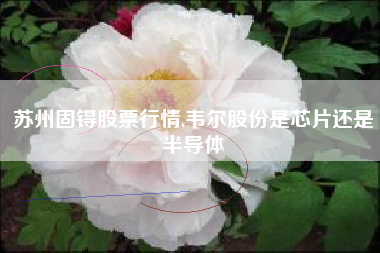苏州固锝股票行情,韦尔股份是芯片还是半导体