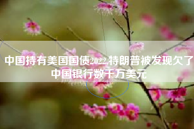 中国持有美国国债2022,特朗普被发现欠了中国银行数千万美元