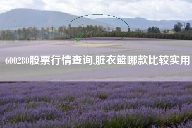 600280股票行情查询,脏衣篮哪款比较实用