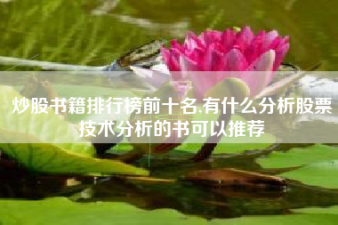 炒股书籍排行榜前十名,有什么分析股票技术分析的书可以推荐