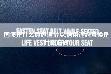 国债是什么意思通俗点,信用违约互换是什么意思
