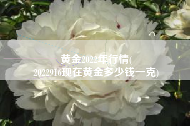 黄金2022年行情(
2022916现在黄金多少钱一克) 黄金2022年行情(
2022916现在黄金多少钱一克)