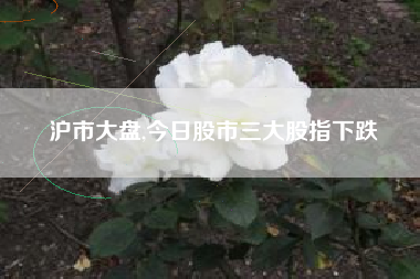 沪市大盘,今日股市三大股指下跌