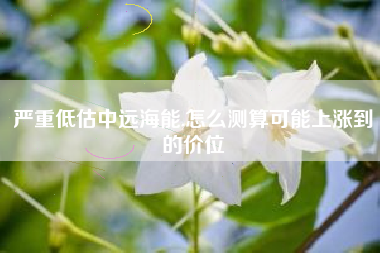 严重低估中远海能,怎么测算可能上涨到的价位