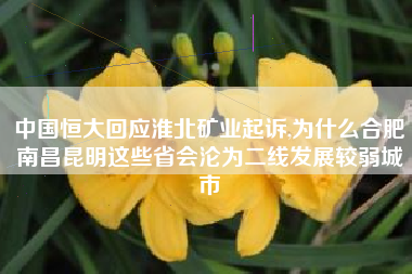 中国恒大回应淮北矿业起诉,为什么合肥南昌昆明这些省会沦为二线发展较弱城市