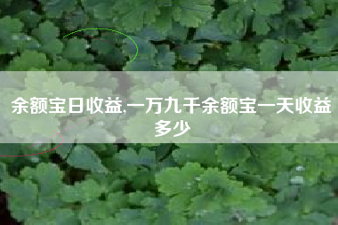 余额宝日收益,一万九千余额宝一天收益多少