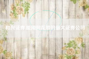 和兴证券,能用同花顺的最大证券公司