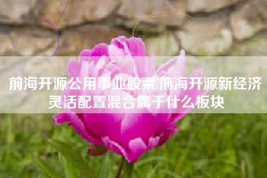 前海开源公用事业股票,前海开源新经济灵活配置混合属于什么板块
