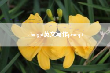 chatgpt英文写作prompt
